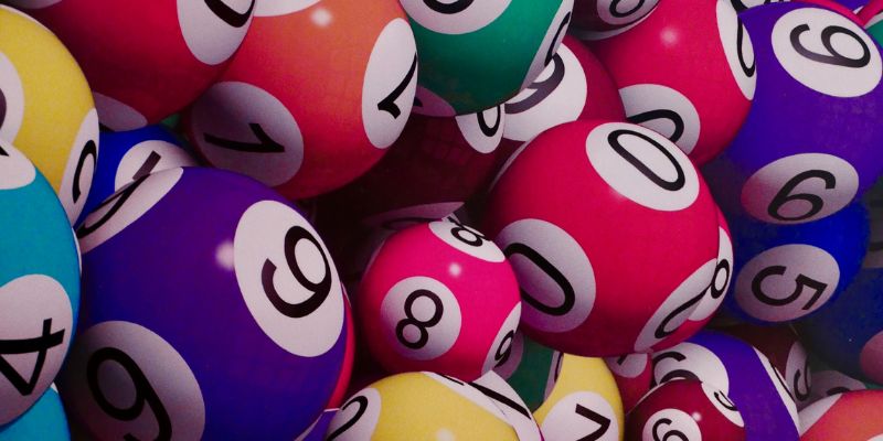 Nuôi theo hình quả trám trong bạch thủ lô là gì