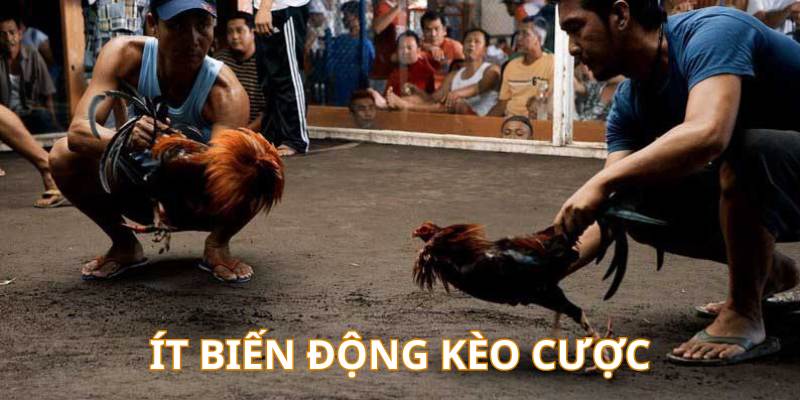 Rất ít các trận đấu biến động về kèo cược